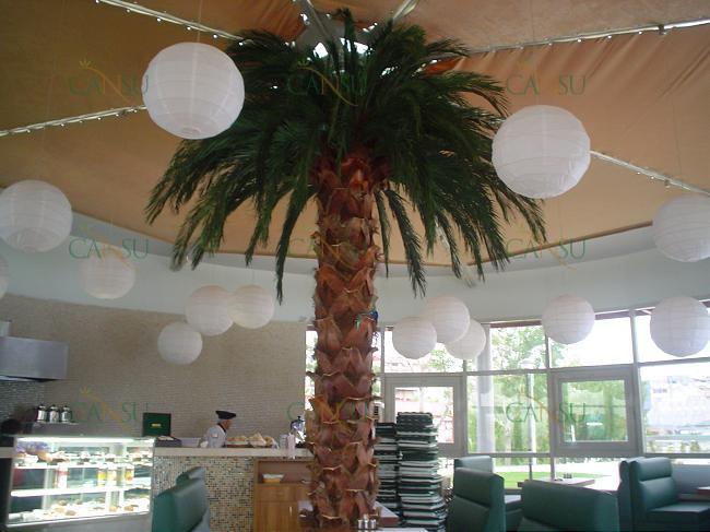 Palmiye, Palmiye Ağacı, Yapay Palmiye, Şoklanmış Palmiye, Yapay Palmiye Ağacı, Şoklanmış Palmiye Ağacı