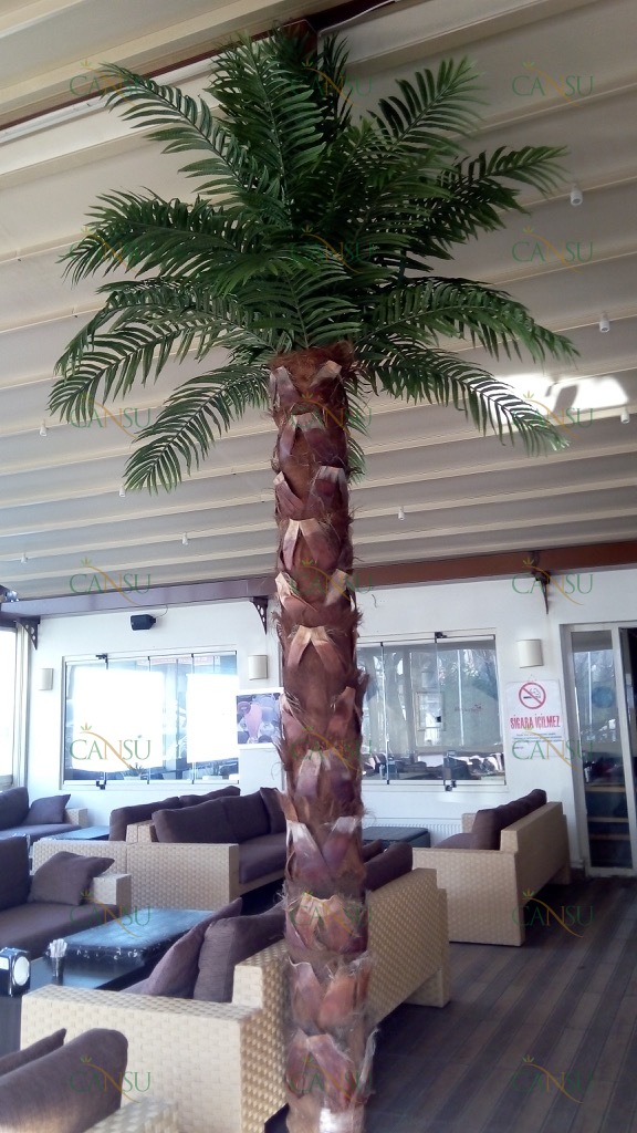 Palmiye, Palmiye Ağacı, Yapay Palmiye, Şoklanmış Palmiye, Yapay Palmiye Ağacı, Şoklanmış Palmiye Ağacı