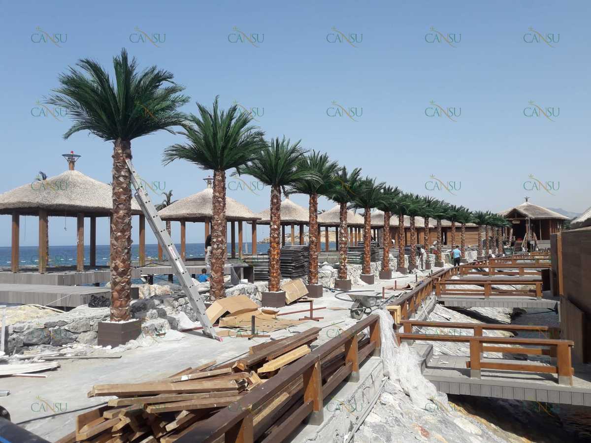 Palmiye, Palmiye Ağacı, Yapay Palmiye, Şoklanmış Palmiye, Yapay Palmiye Ağacı, Şoklanmış Palmiye Ağacı