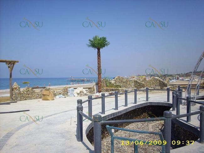Palmiye, Palmiye Ağacı, Yapay Palmiye, Şoklanmış Palmiye, Yapay Palmiye Ağacı, Şoklanmış Palmiye Ağacı