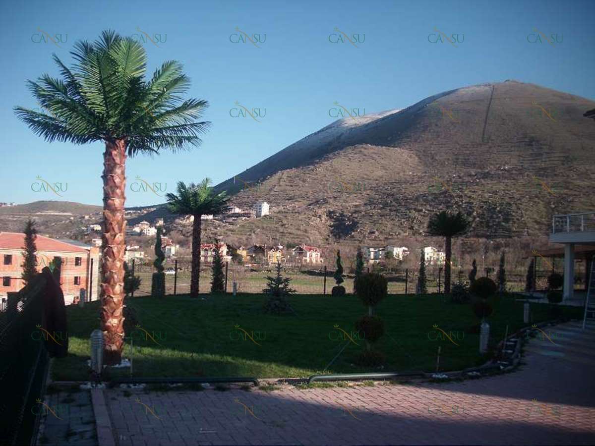 Palmiye, Palmiye Ağacı, Yapay Palmiye, Şoklanmış Palmiye, Yapay Palmiye Ağacı, Şoklanmış Palmiye Ağacı