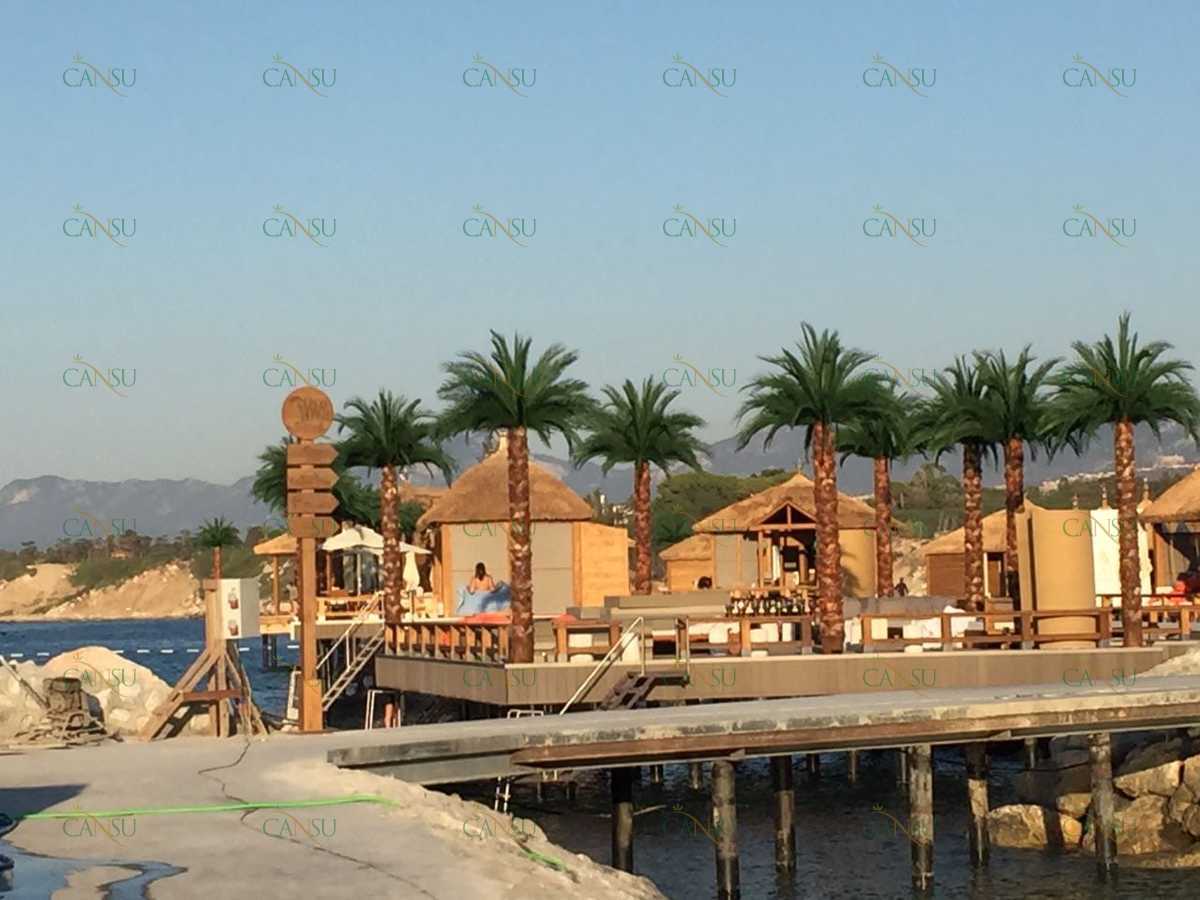 Palmiye, Palmiye Ağacı, Yapay Palmiye, Şoklanmış Palmiye, Yapay Palmiye Ağacı, Şoklanmış Palmiye Ağacı