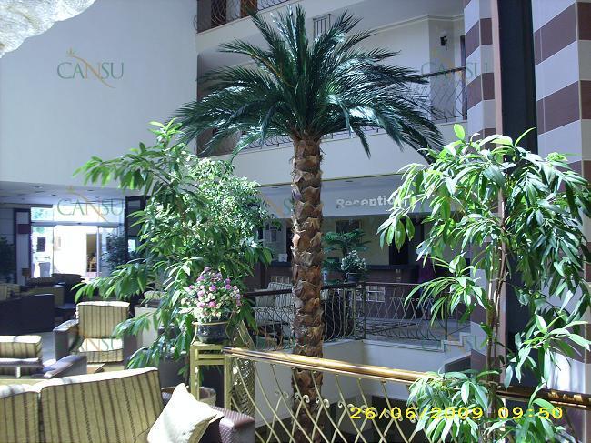 Palmiye, Palmiye Ağacı, Yapay Palmiye, Şoklanmış Palmiye, Yapay Palmiye Ağacı, Şoklanmış Palmiye Ağacı