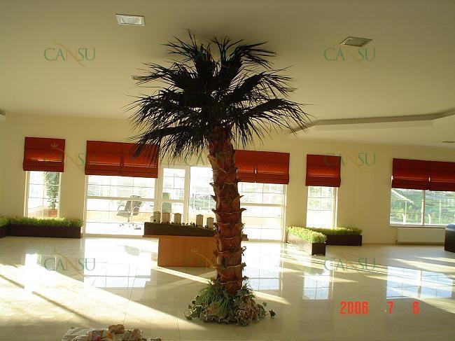 Palmiye, Palmiye Ağacı, Yapay Palmiye, Şoklanmış Palmiye, Yapay Palmiye Ağacı, Şoklanmış Palmiye Ağacı
