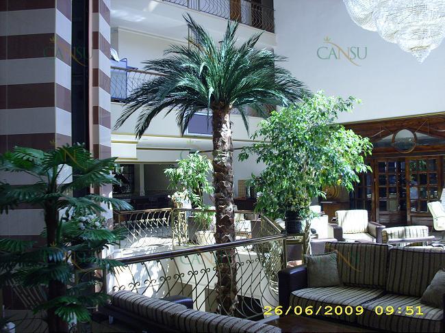 Palmiye, Palmiye Ağacı, Yapay Palmiye, Şoklanmış Palmiye, Yapay Palmiye Ağacı, Şoklanmış Palmiye Ağacı