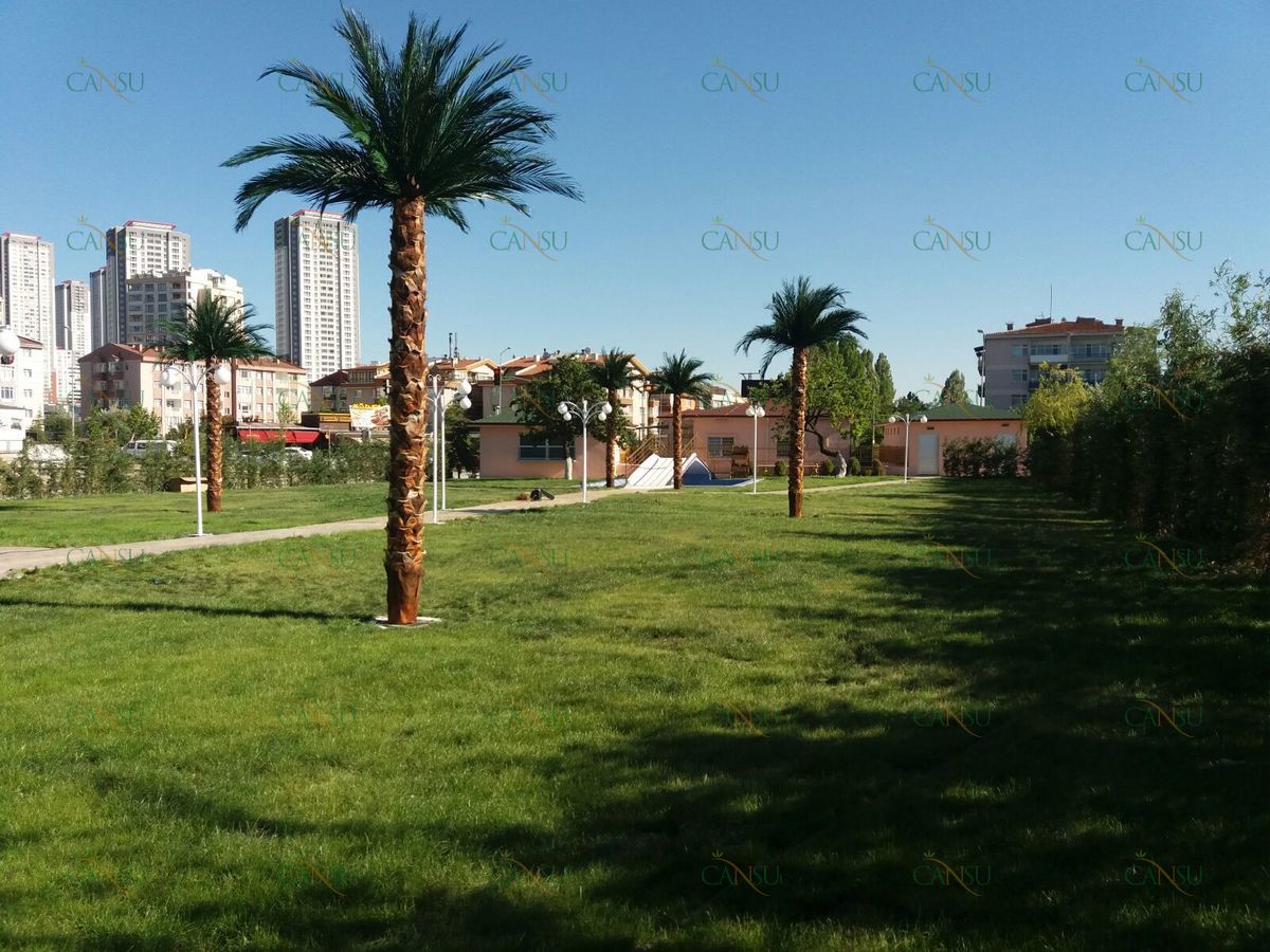Palmiye, Palmiye Ağacı, Yapay Palmiye, Şoklanmış Palmiye, Yapay Palmiye Ağacı, Şoklanmış Palmiye Ağacı