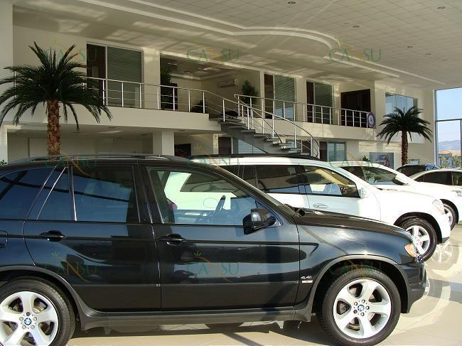 Palmiye, Palmiye Ağacı, Yapay Palmiye, Şoklanmış Palmiye, Yapay Palmiye Ağacı, Şoklanmış Palmiye Ağacı