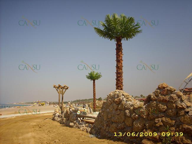 Palmiye, Palmiye Ağacı, Yapay Palmiye, Şoklanmış Palmiye, Yapay Palmiye Ağacı, Şoklanmış Palmiye Ağacı