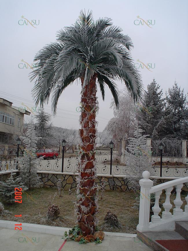 Palmiye, Palmiye Ağacı, Yapay Palmiye, Şoklanmış Palmiye, Yapay Palmiye Ağacı, Şoklanmış Palmiye Ağacı