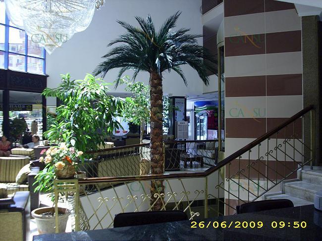 Palmiye, Palmiye Ağacı, Yapay Palmiye, Şoklanmış Palmiye, Yapay Palmiye Ağacı, Şoklanmış Palmiye Ağacı